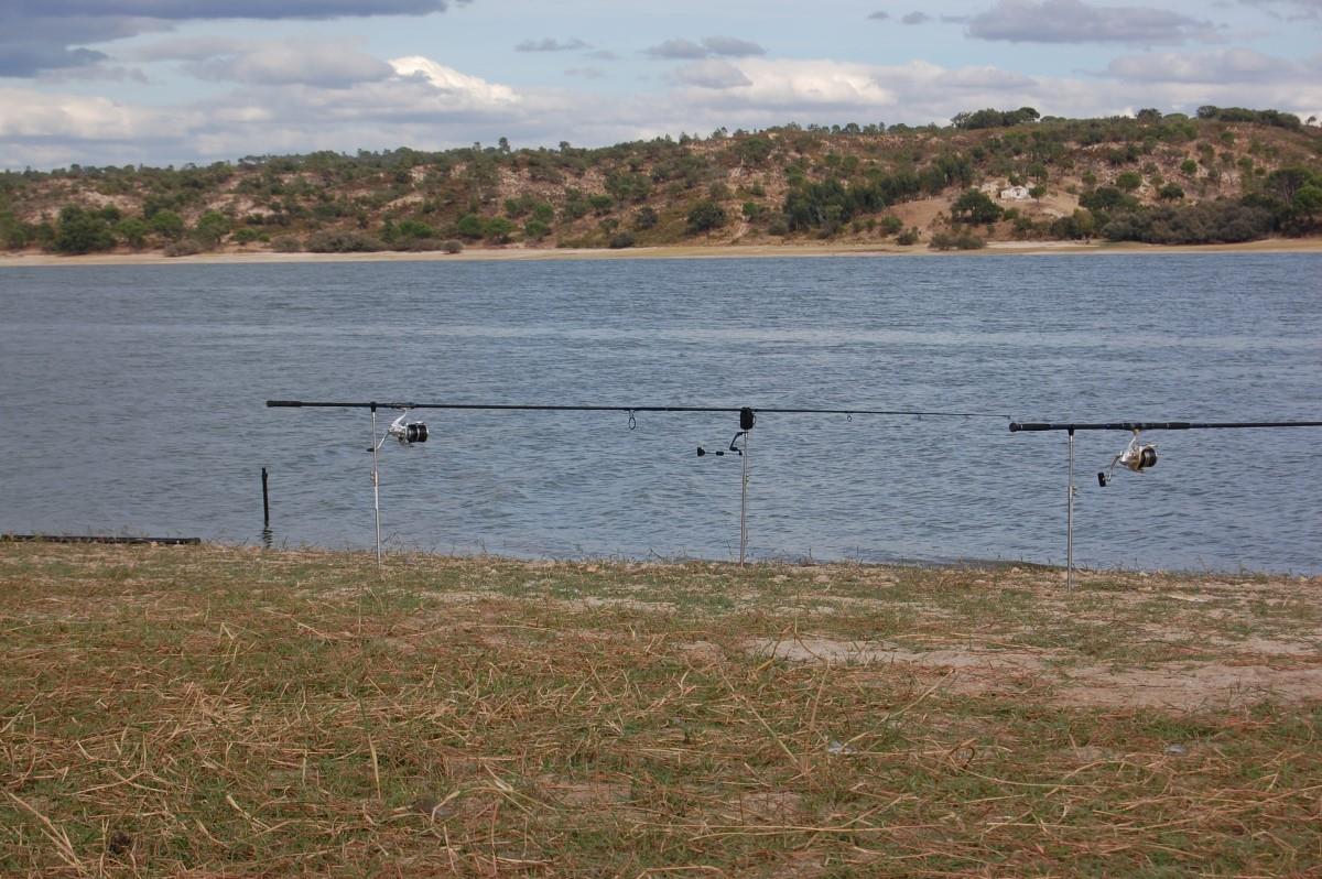 CM Portugalia - 2013 (7) - dsc0029.JPG